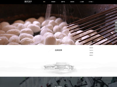 集团纺织股份有限公司建站-案例